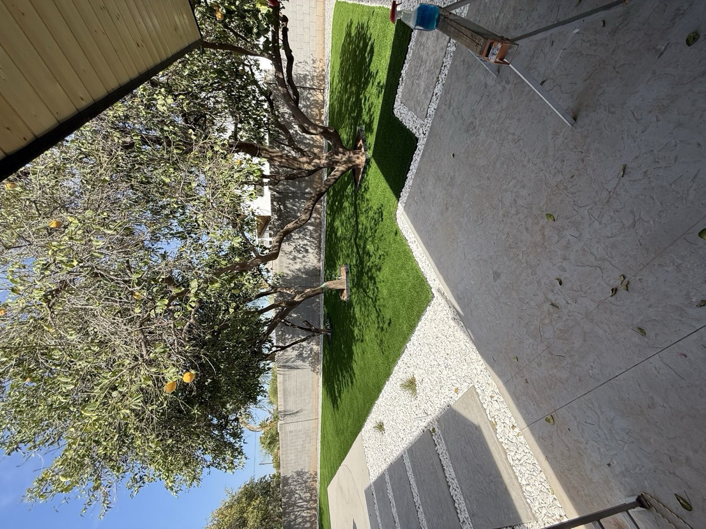 Poolside turf and paver landscape